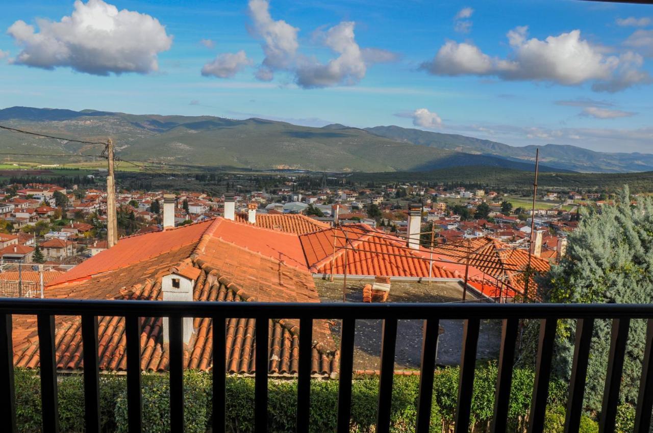 Dandy Villas Amfiklia - Pasithea - Stunning View - Fireplace - Parking אמפיקליה מראה חיצוני תמונה