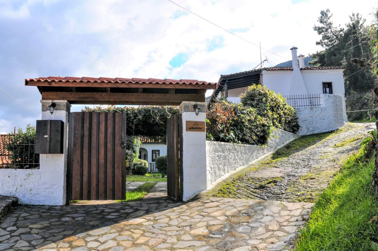 Dandy Villas Amfiklia - Pasithea - Stunning View - Fireplace - Parking אמפיקליה מראה חיצוני תמונה