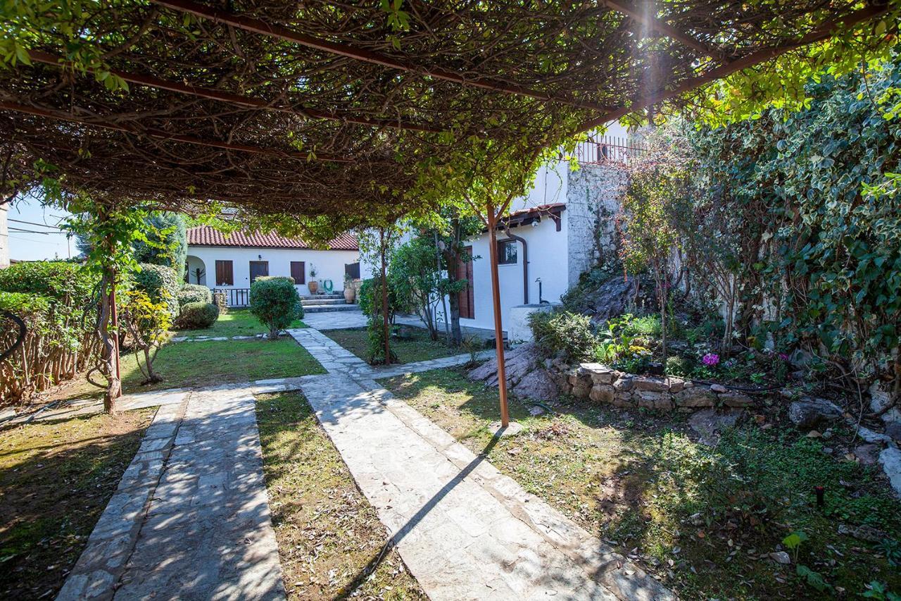 Dandy Villas Amfiklia - Pasithea - Stunning View - Fireplace - Parking אמפיקליה מראה חיצוני תמונה